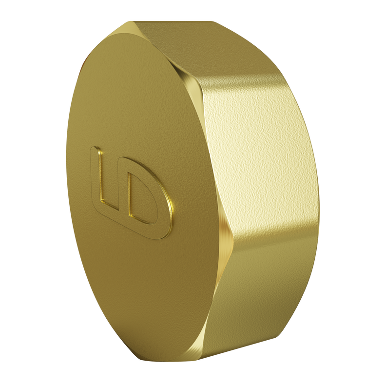 Заглушка LD Pride (на трубу) DN50 (2") ВР латунь