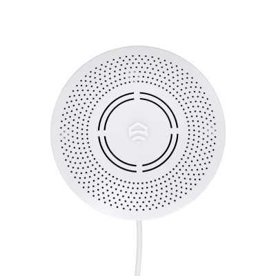 Датчик утечки природного газа ectoControl