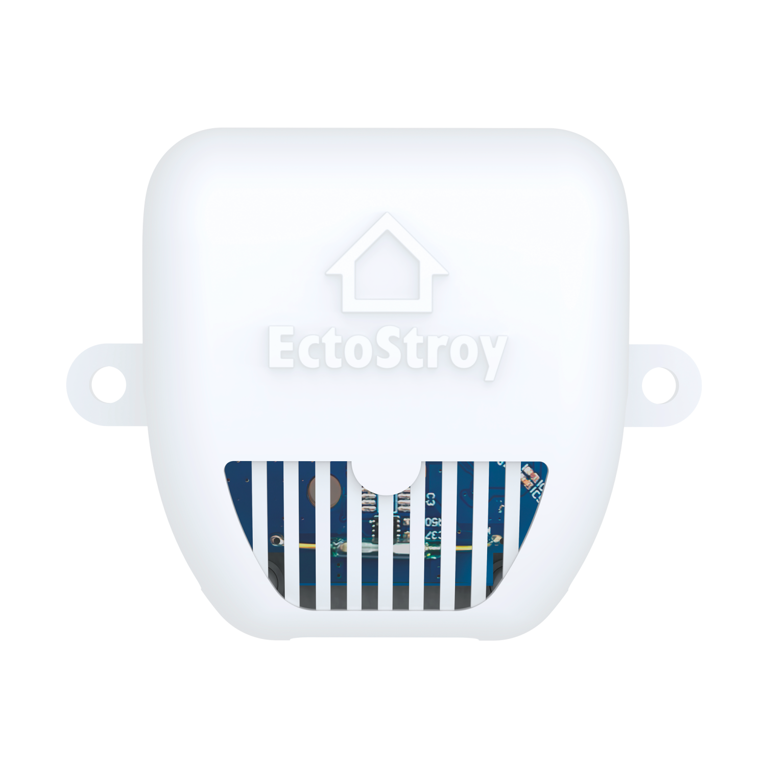 Беспроводной датчик температуры ectoControl  LoRa