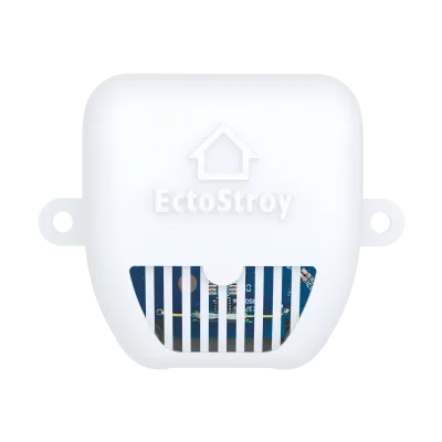 Беспроводной датчик температуры ectoControl  LoRa